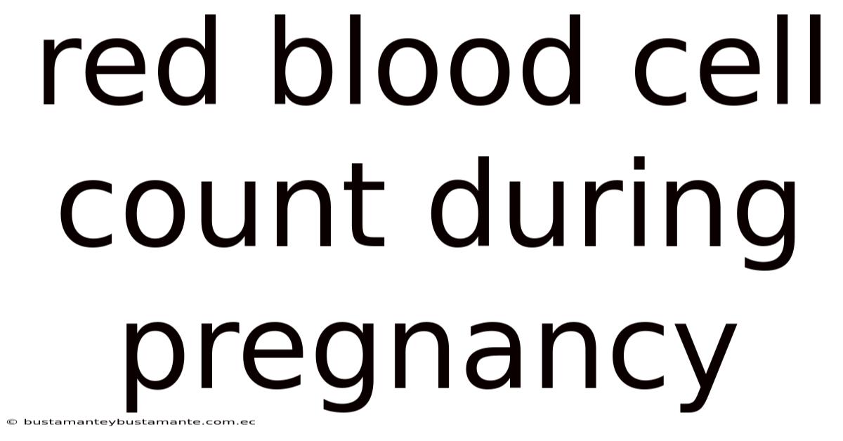 Red Blood Cell Count During Pregnancy