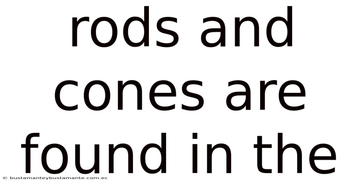 Rods And Cones Are Found In The