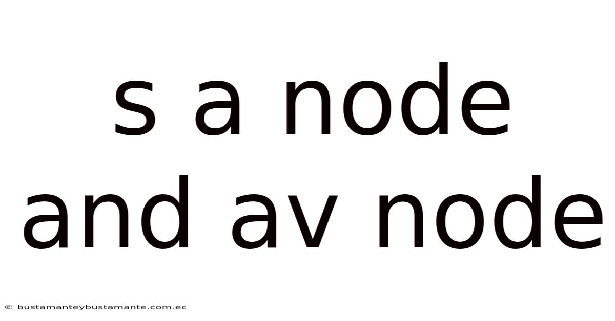 S A Node And Av Node