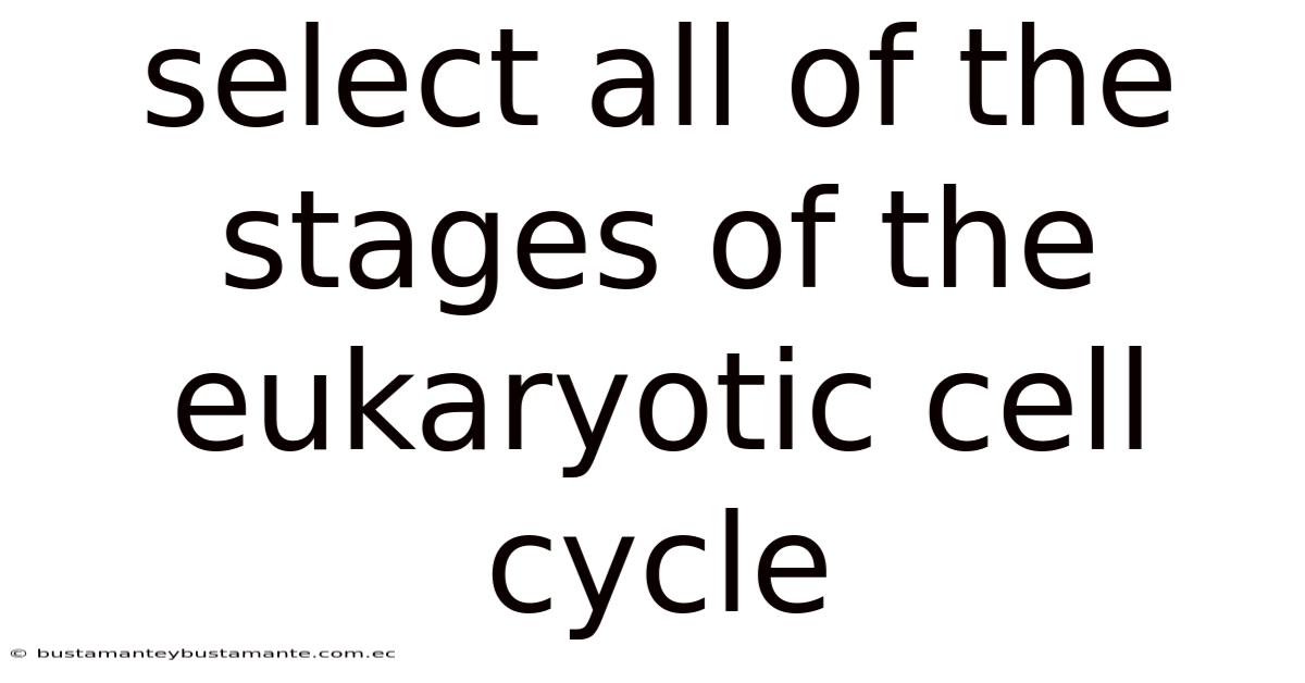Select All Of The Stages Of The Eukaryotic Cell Cycle