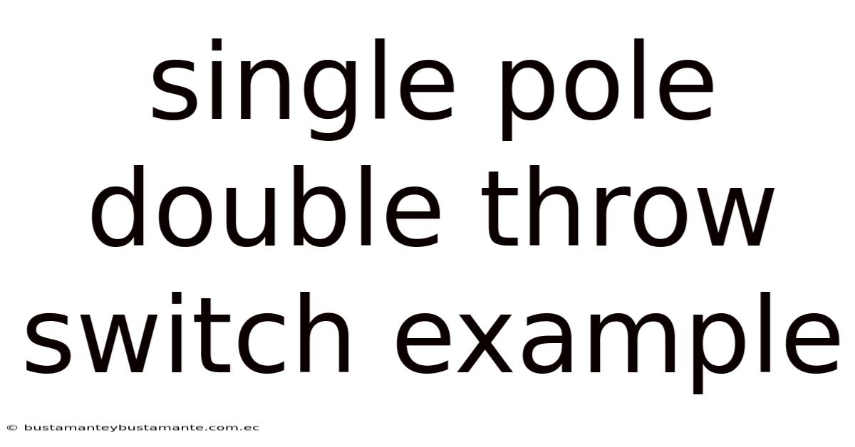 Single Pole Double Throw Switch Example
