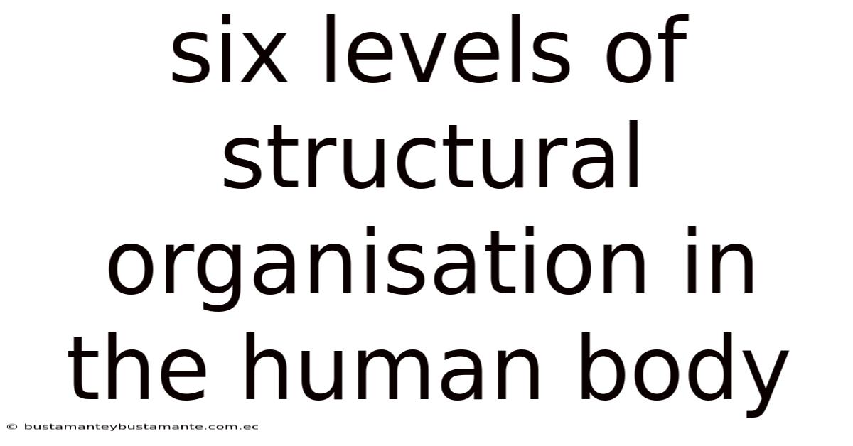 Six Levels Of Structural Organisation In The Human Body