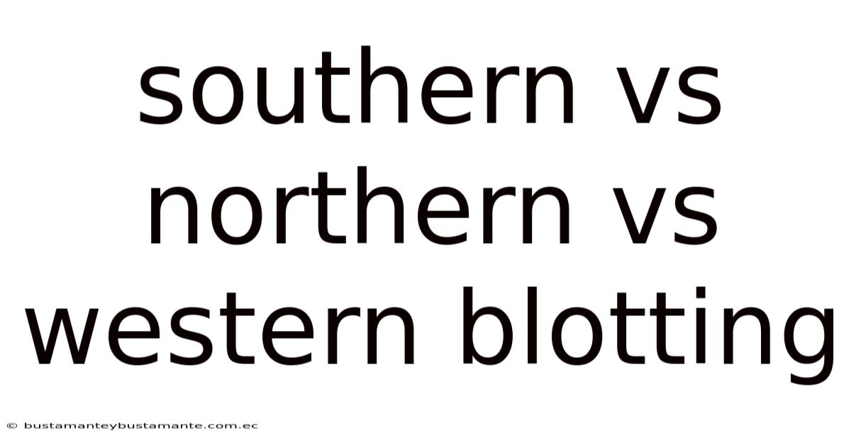 Southern Vs Northern Vs Western Blotting
