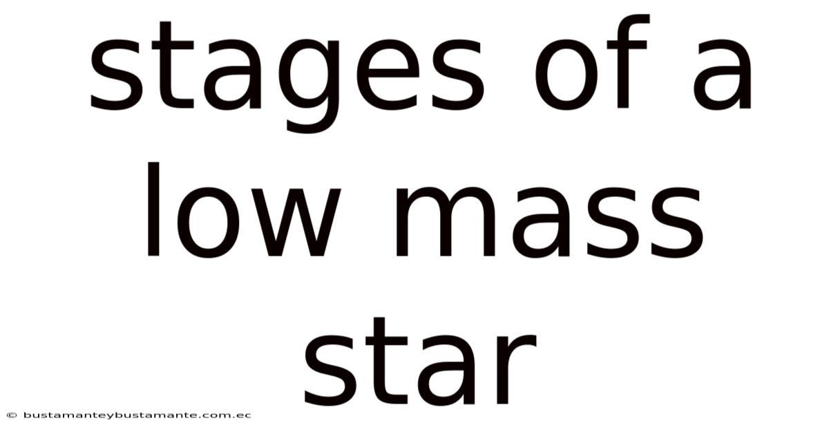Stages Of A Low Mass Star
