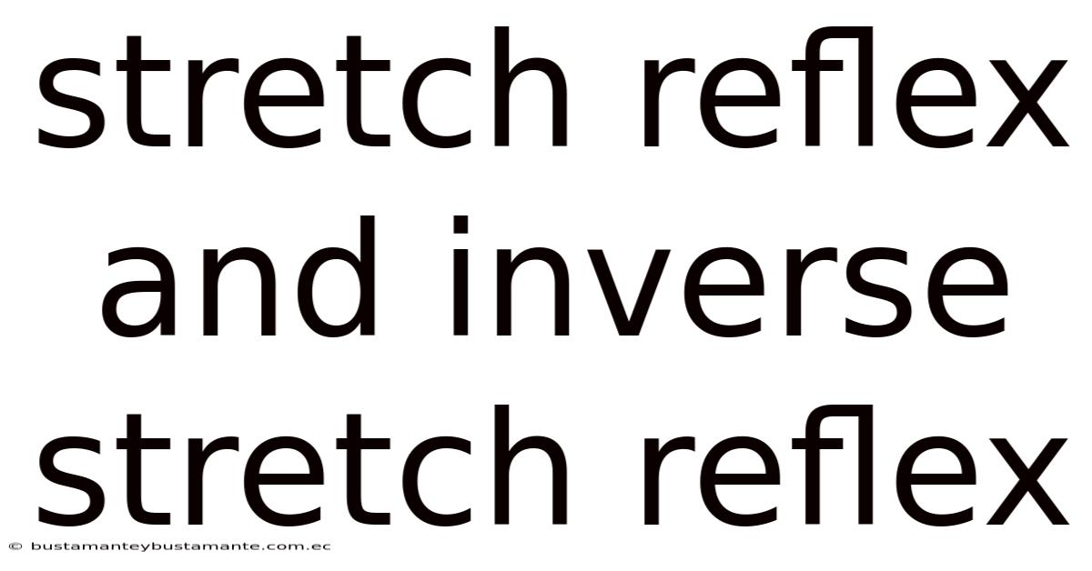 Stretch Reflex And Inverse Stretch Reflex