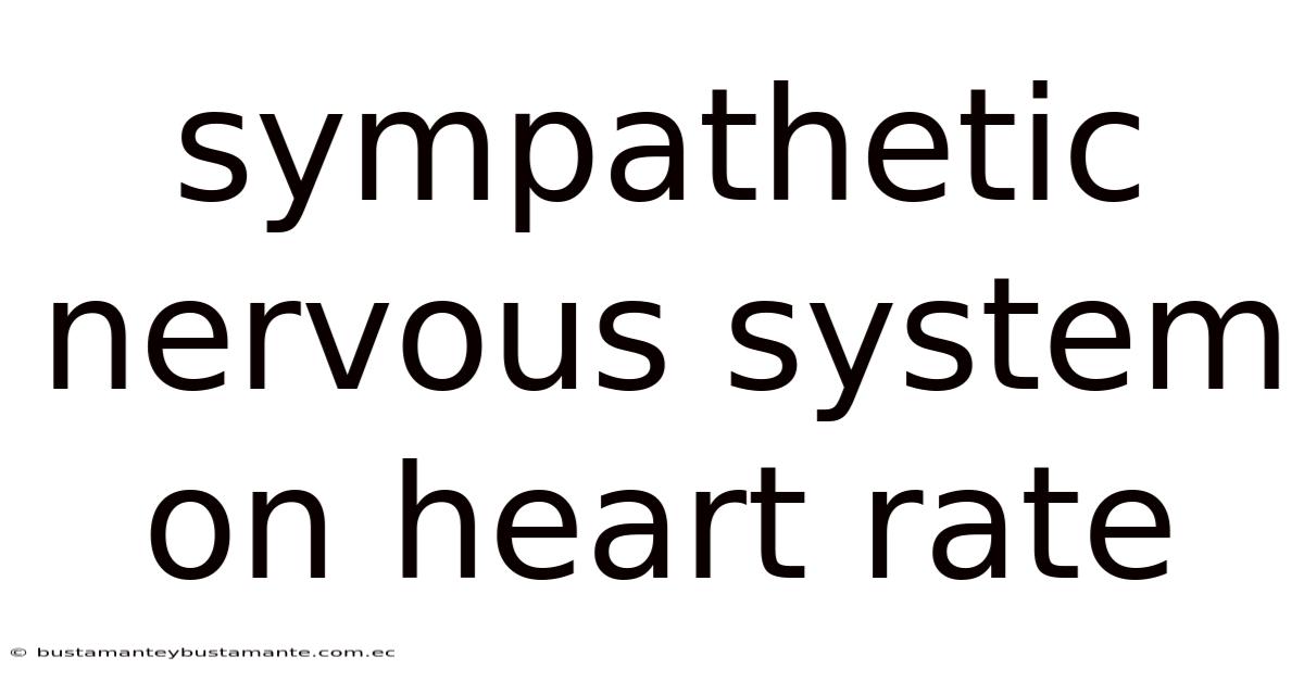 Sympathetic Nervous System On Heart Rate