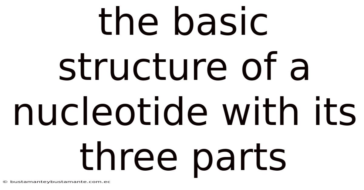 The Basic Structure Of A Nucleotide With Its Three Parts