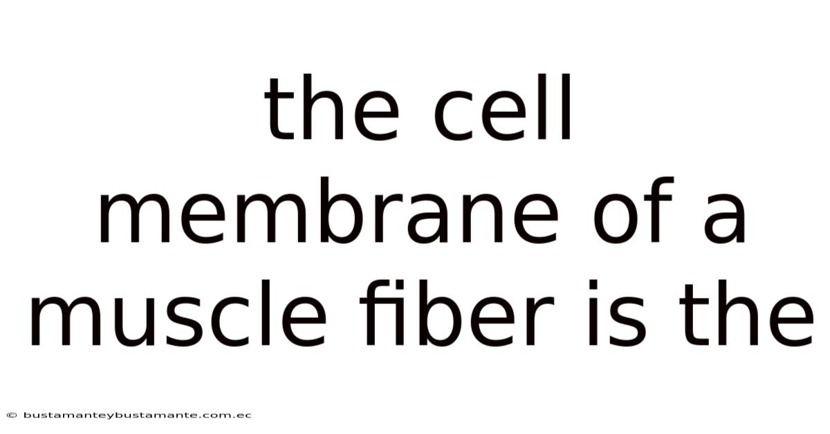 The Cell Membrane Of A Muscle Fiber Is The