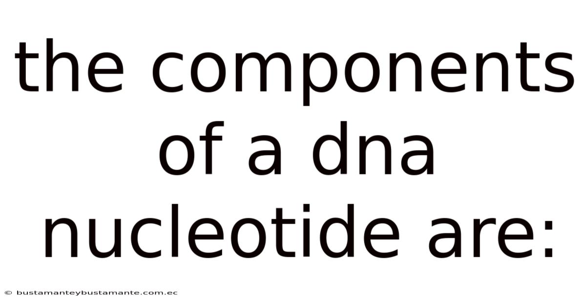 The Components Of A Dna Nucleotide Are:
