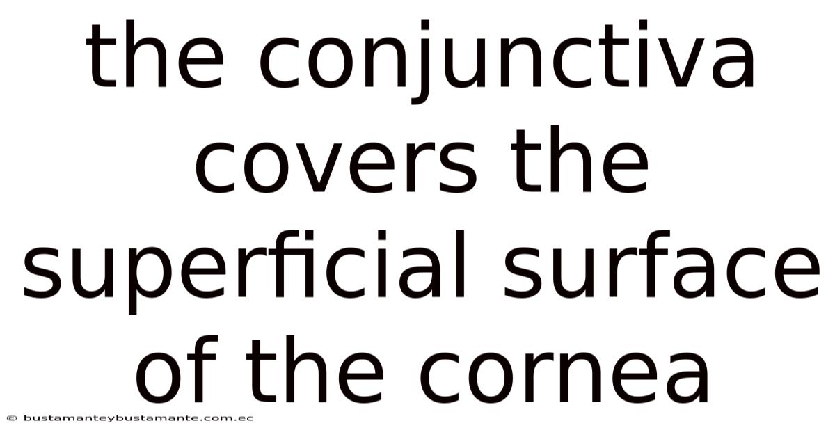 The Conjunctiva Covers The Superficial Surface Of The Cornea