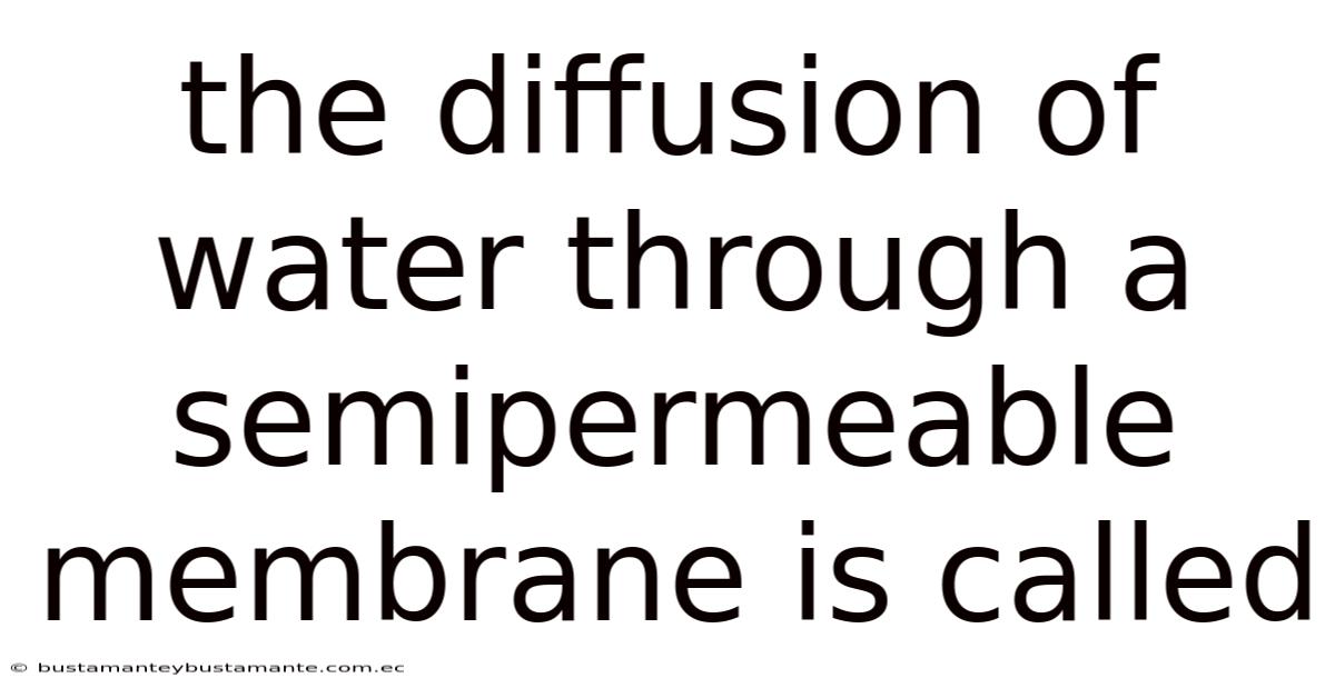The Diffusion Of Water Through A Semipermeable Membrane Is Called