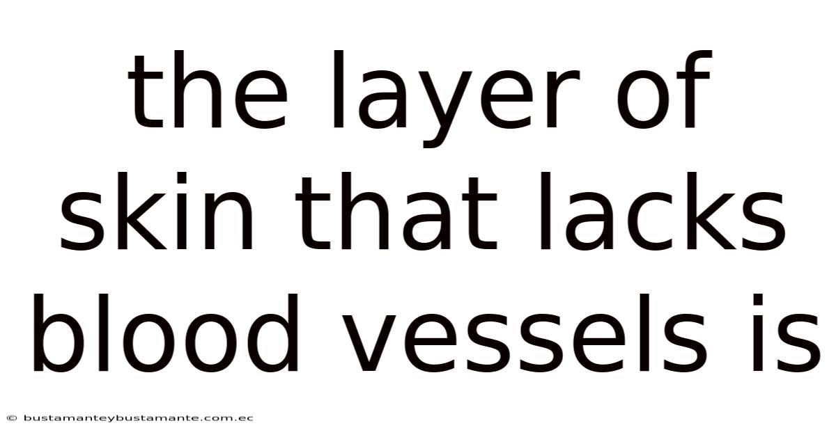 The Layer Of Skin That Lacks Blood Vessels Is