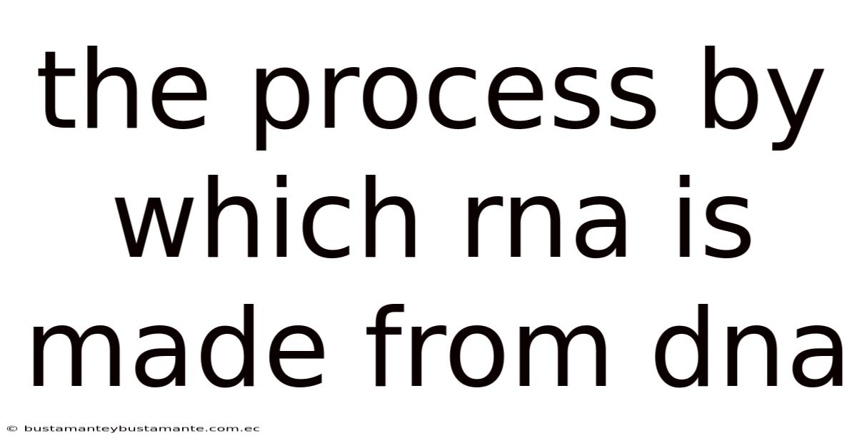 The Process By Which Rna Is Made From Dna