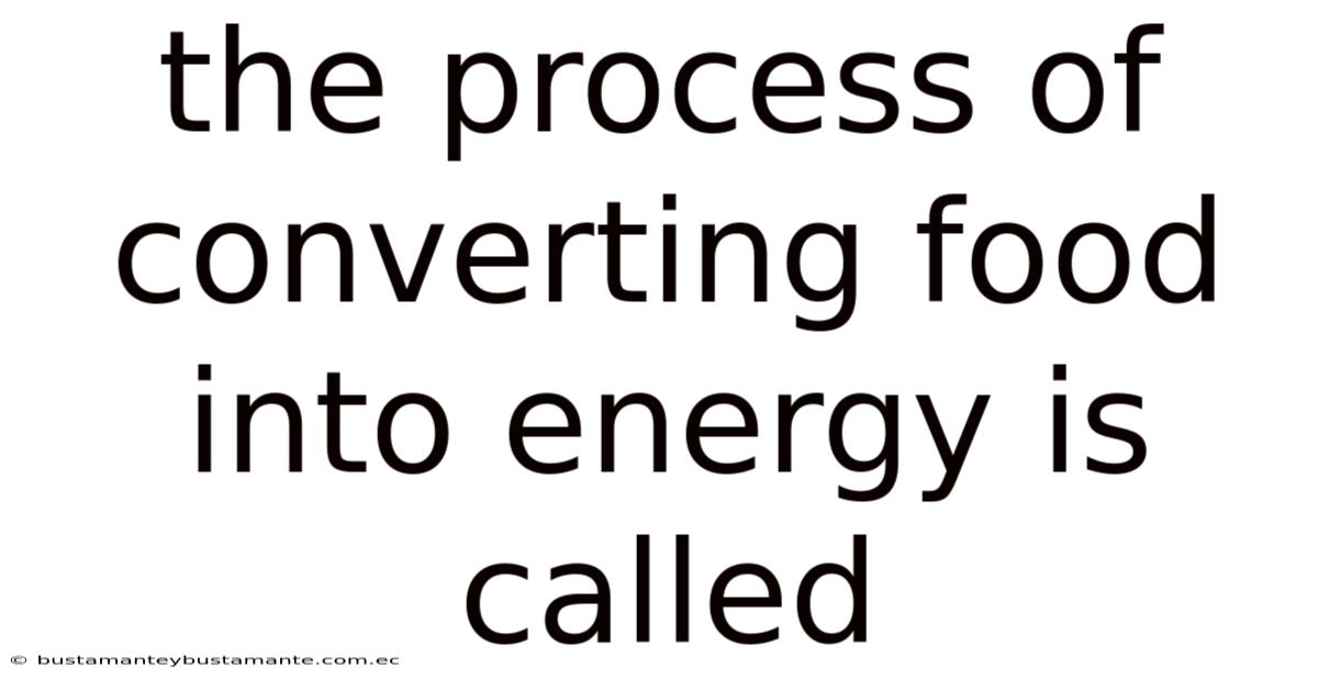 The Process Of Converting Food Into Energy Is Called