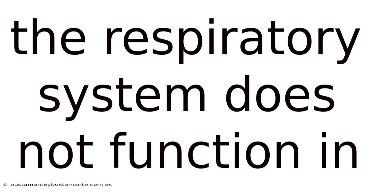 The Respiratory System Does Not Function In