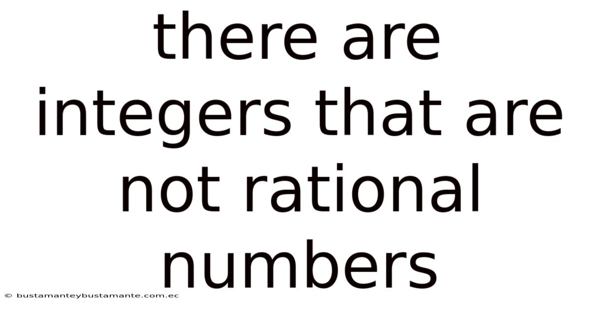 There Are Integers That Are Not Rational Numbers