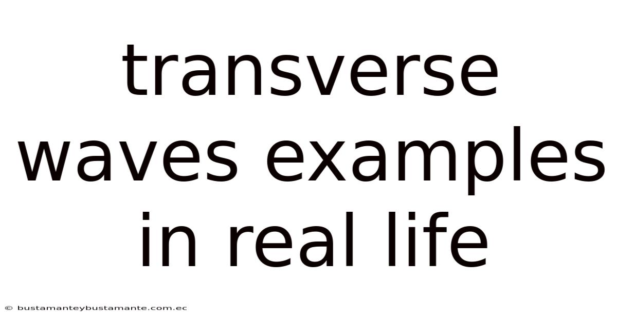 Transverse Waves Examples In Real Life