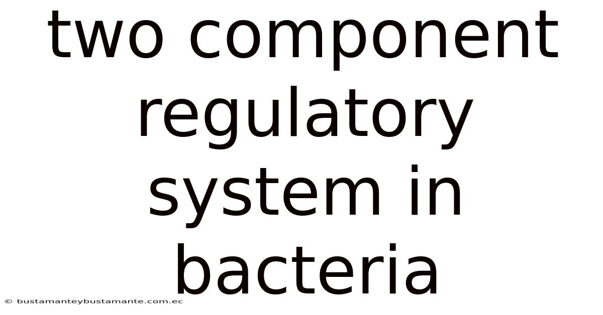 Two Component Regulatory System In Bacteria