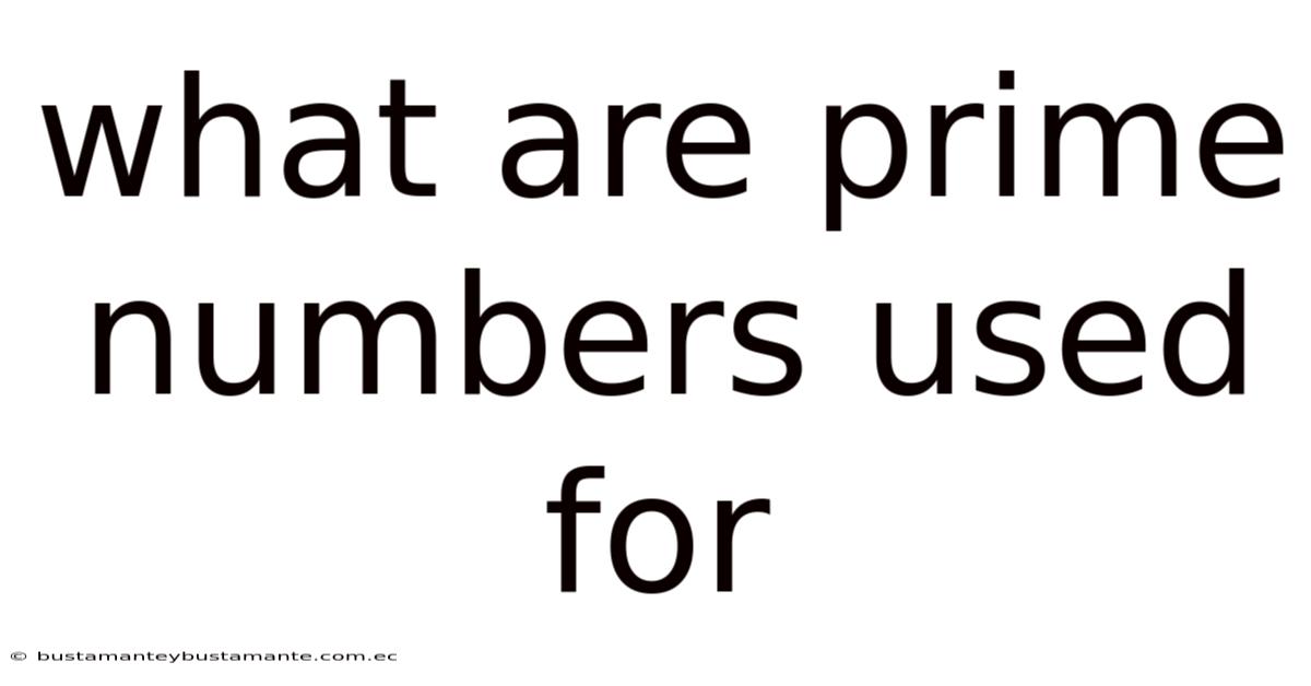 What Are Prime Numbers Used For