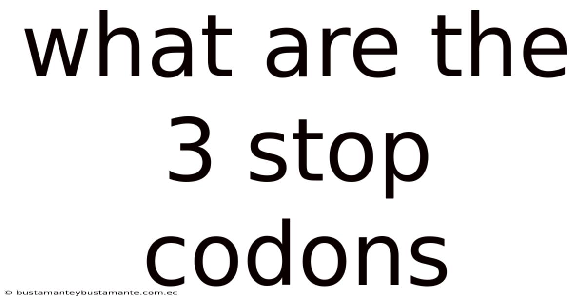 What Are The 3 Stop Codons