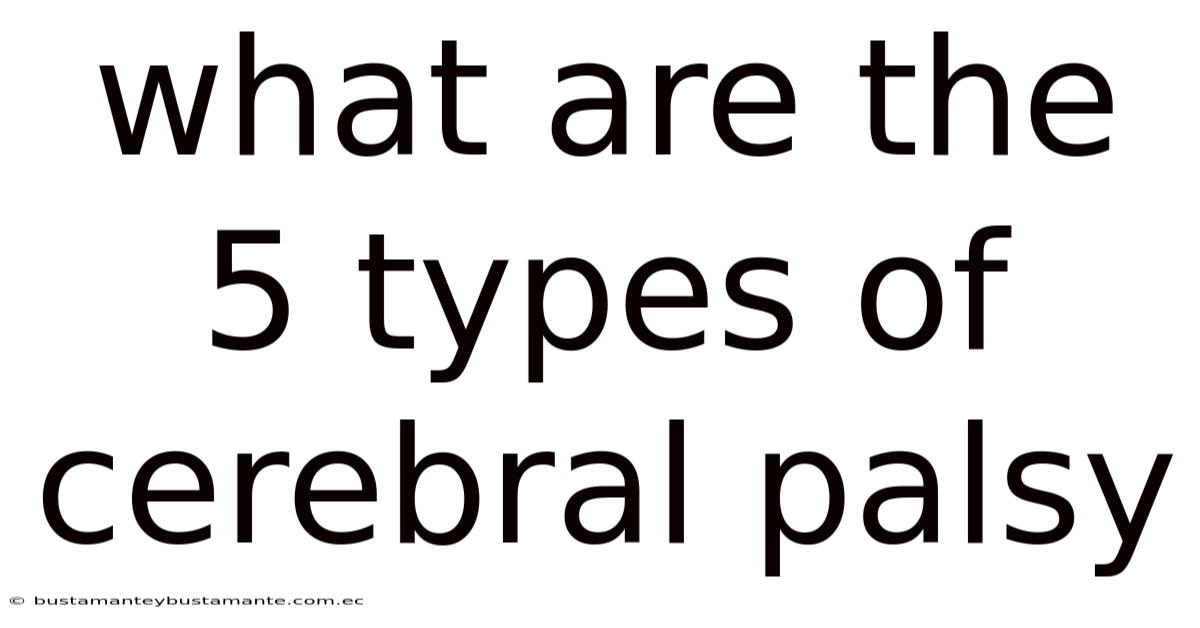 What Are The 5 Types Of Cerebral Palsy