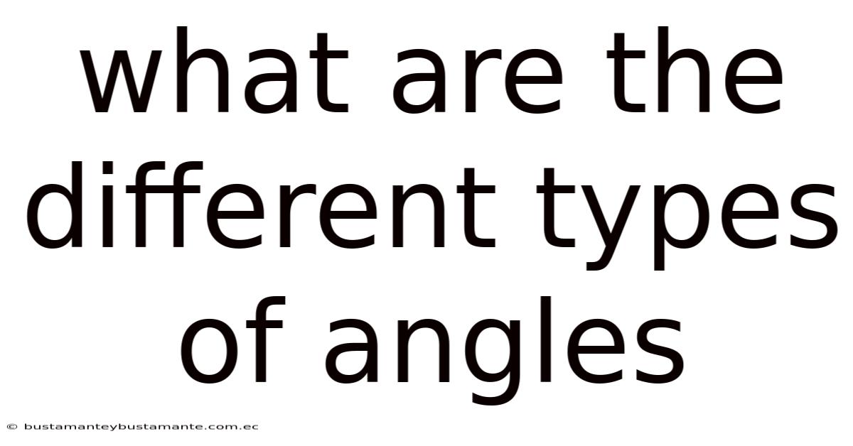 What Are The Different Types Of Angles