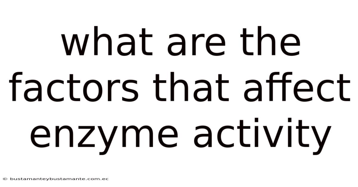 What Are The Factors That Affect Enzyme Activity