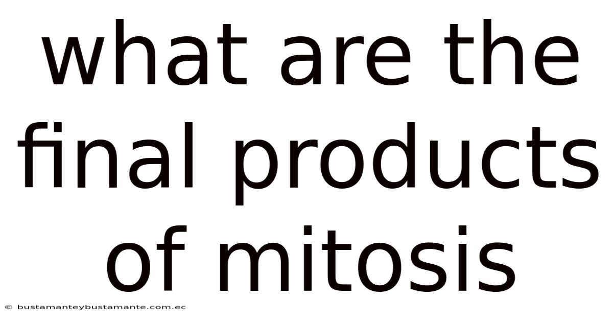 What Are The Final Products Of Mitosis