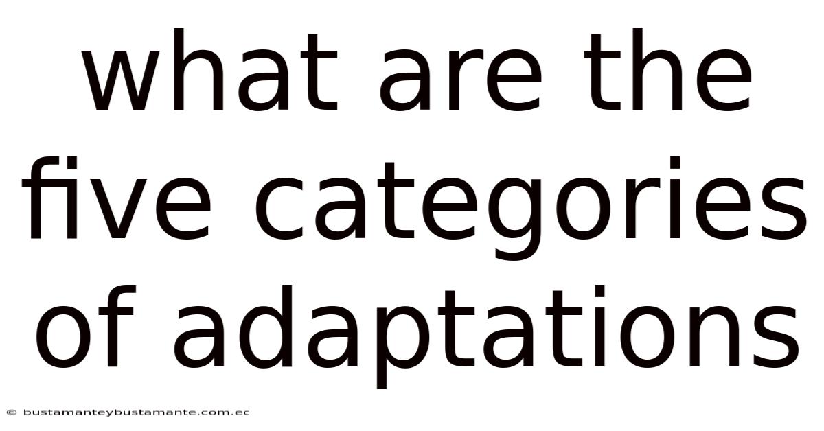 What Are The Five Categories Of Adaptations
