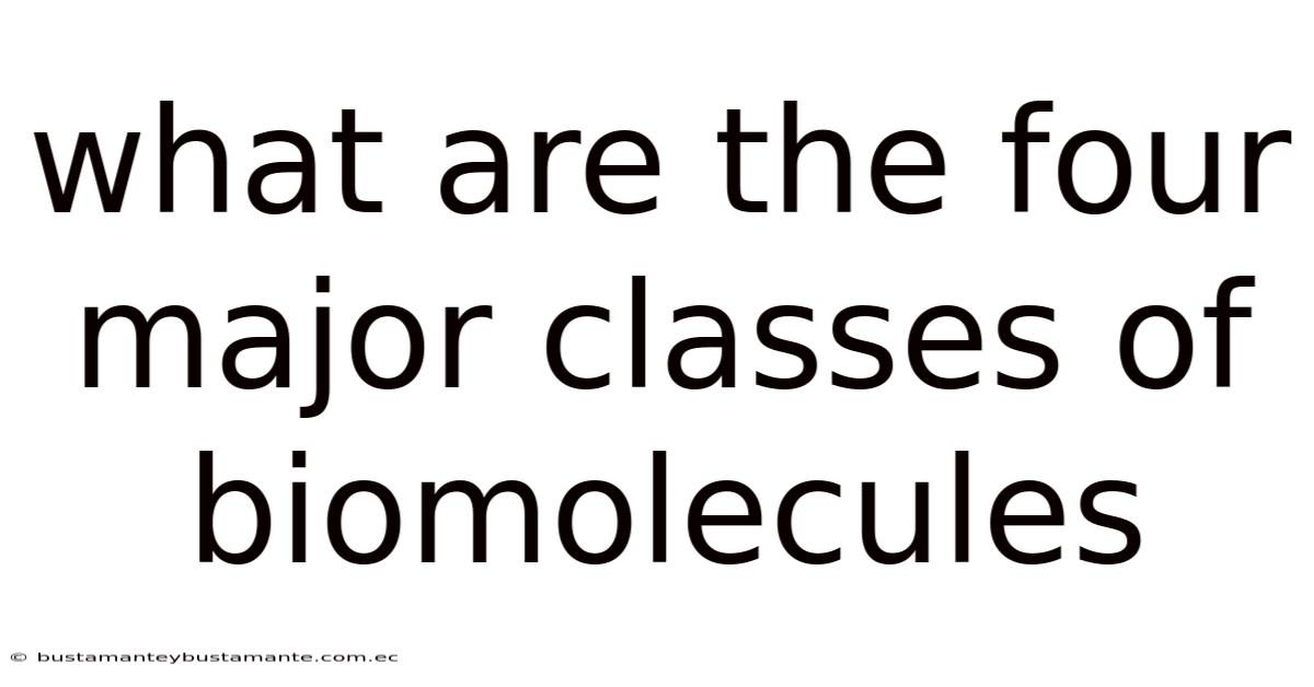 What Are The Four Major Classes Of Biomolecules