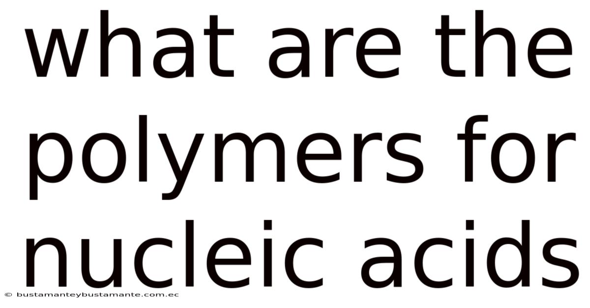 What Are The Polymers For Nucleic Acids