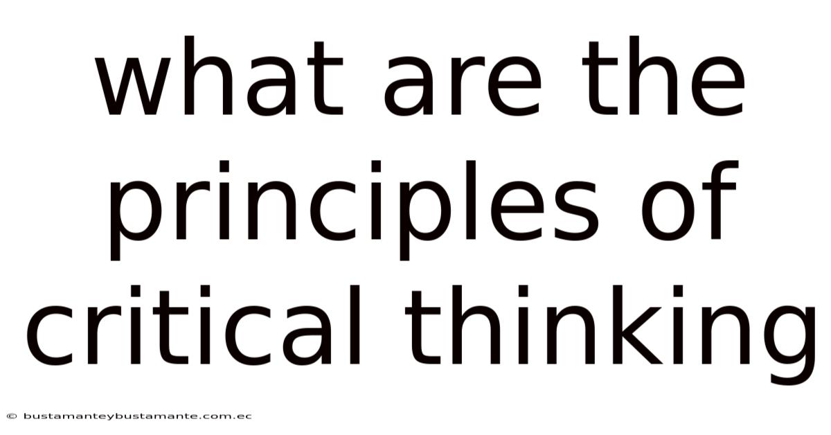 What Are The Principles Of Critical Thinking