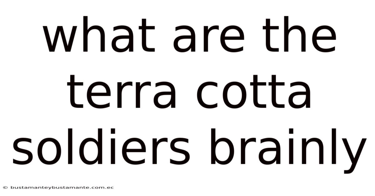 What Are The Terra Cotta Soldiers Brainly