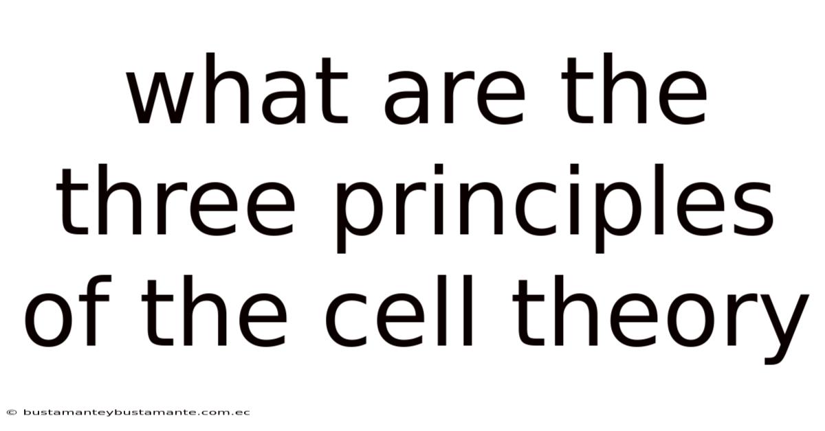 What Are The Three Principles Of The Cell Theory