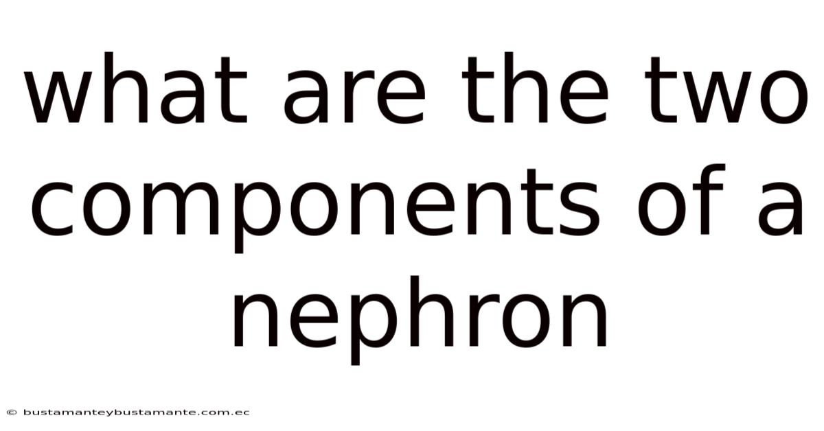 What Are The Two Components Of A Nephron