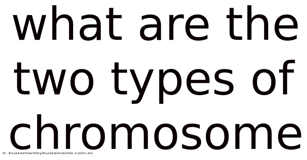 What Are The Two Types Of Chromosome