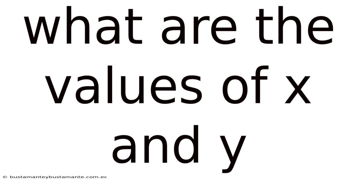 What Are The Values Of X And Y