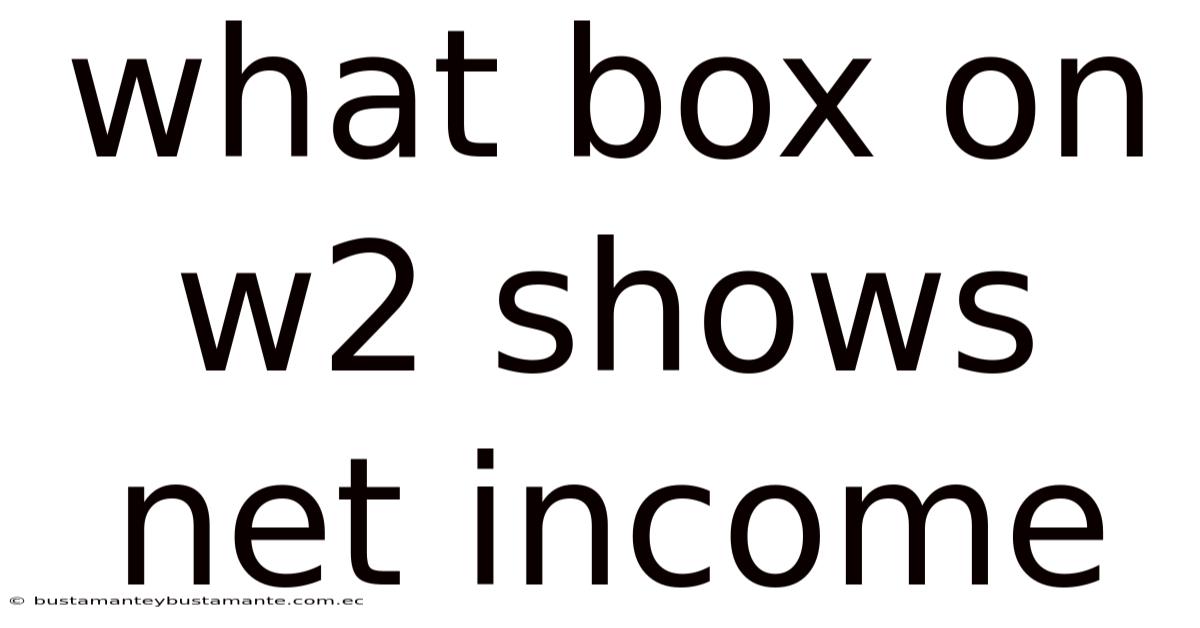 What Box On W2 Shows Net Income