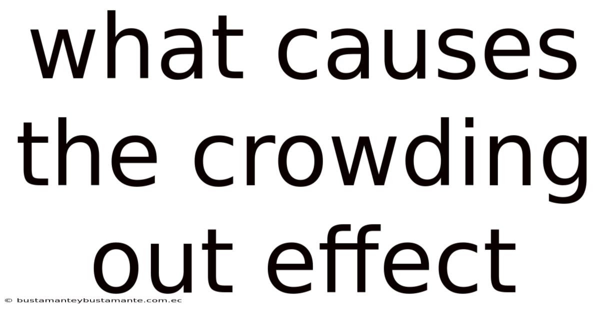 What Causes The Crowding Out Effect
