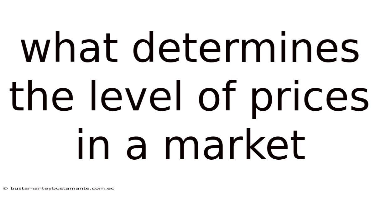 What Determines The Level Of Prices In A Market