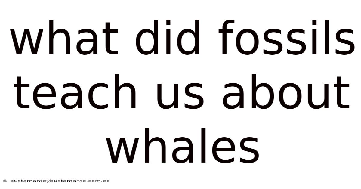 What Did Fossils Teach Us About Whales