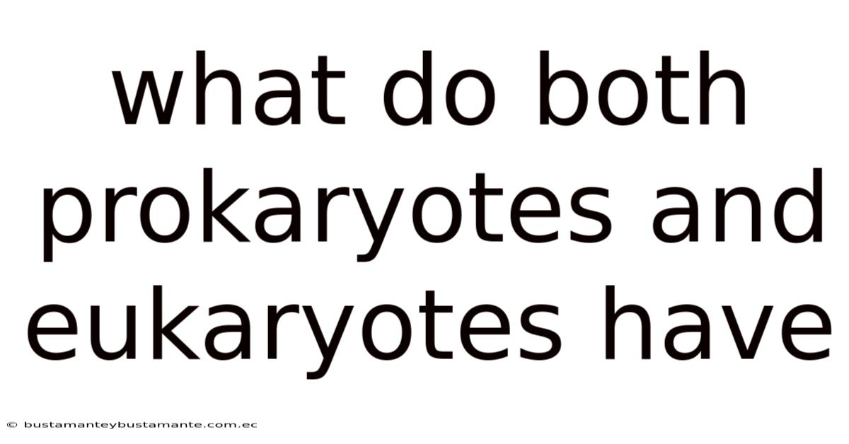 What Do Both Prokaryotes And Eukaryotes Have