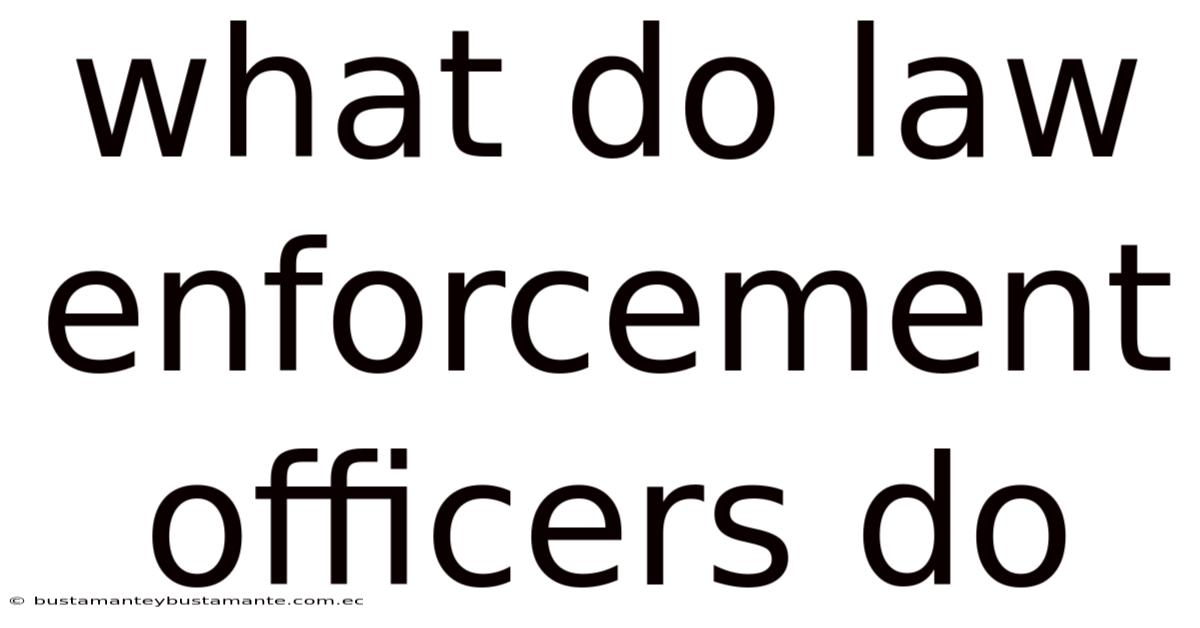 What Do Law Enforcement Officers Do
