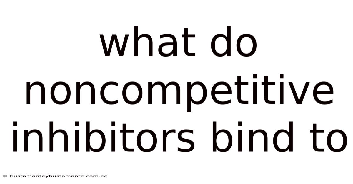What Do Noncompetitive Inhibitors Bind To