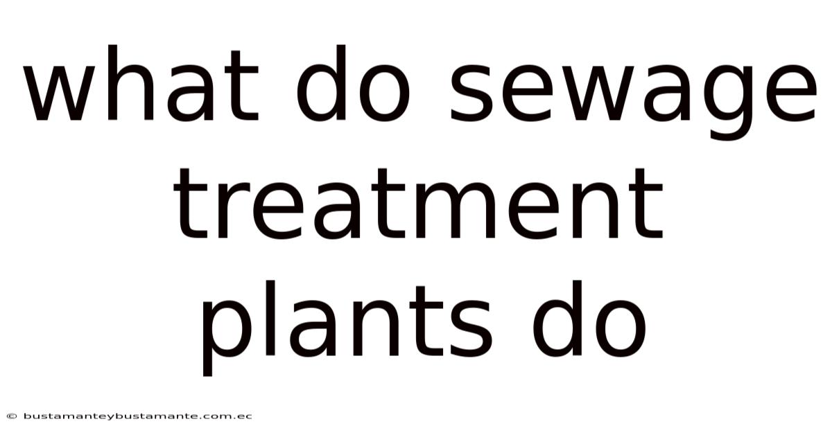 What Do Sewage Treatment Plants Do