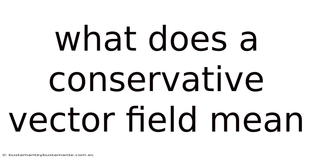 What Does A Conservative Vector Field Mean