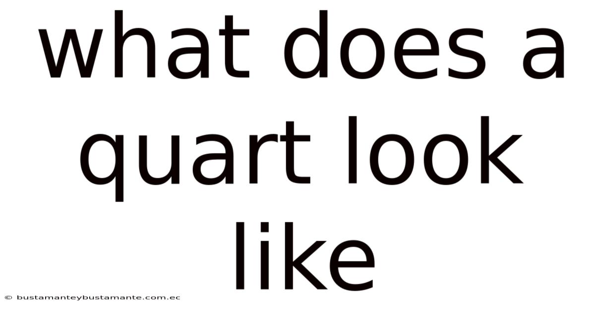 What Does A Quart Look Like
