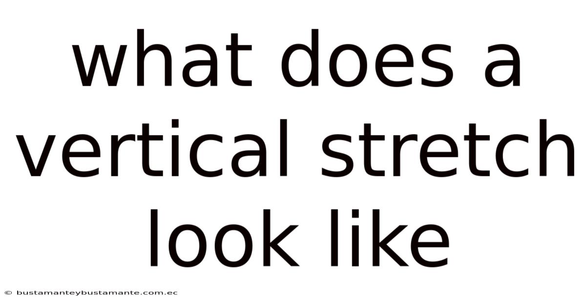 What Does A Vertical Stretch Look Like