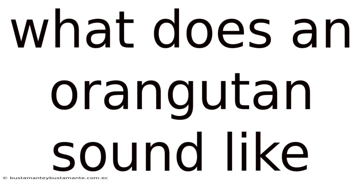 What Does An Orangutan Sound Like