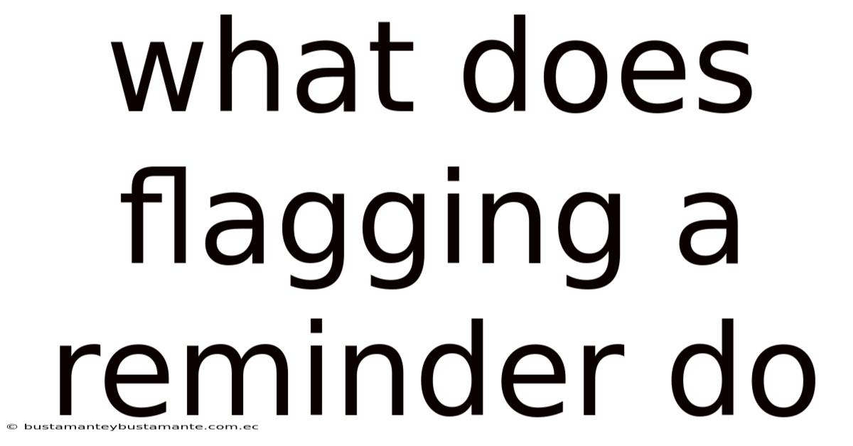 What Does Flagging A Reminder Do